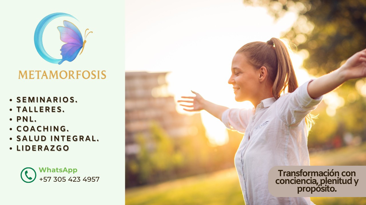 METAMORFOSIS SEMINARIOS